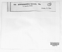 Image Associated With the Occurence